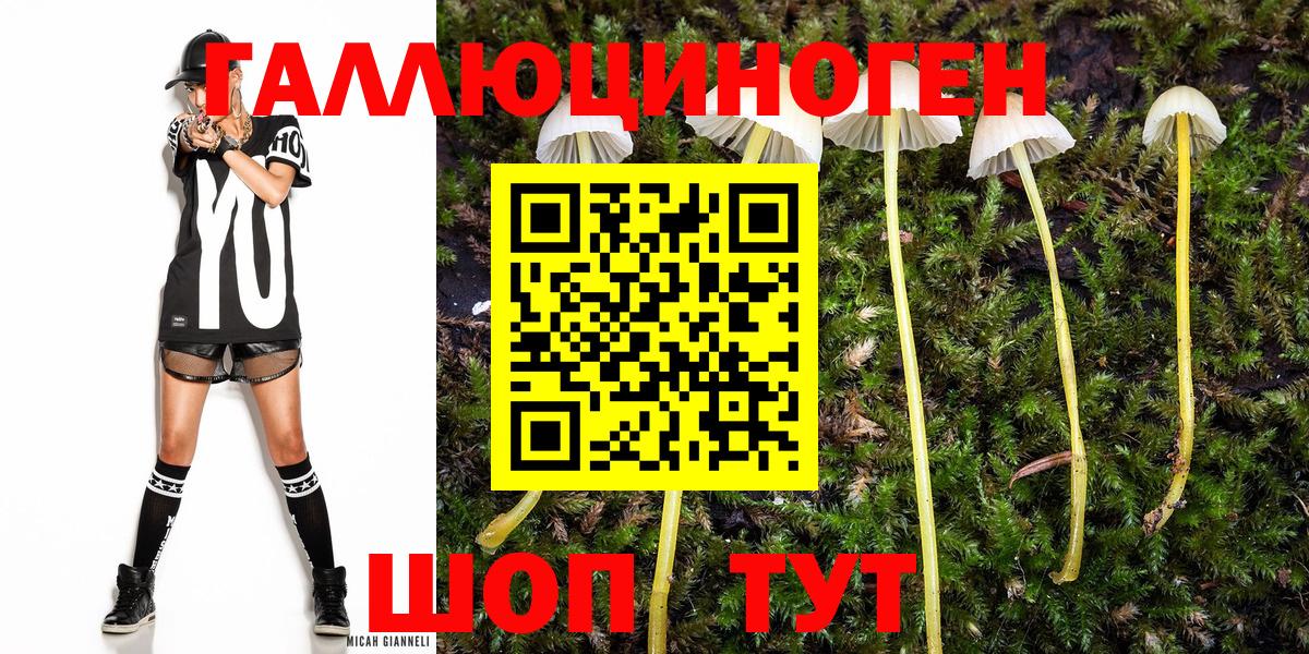 Псилоцибиновые грибы GOLDEN TEACHER Шали
