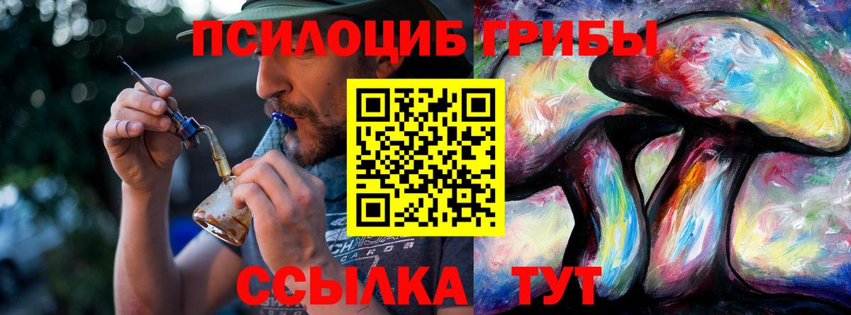 Галлюциногенные грибы Psilocybine cubensis  Вход с VPN  Псилоцибиновые грибы Cubensis  Шали 