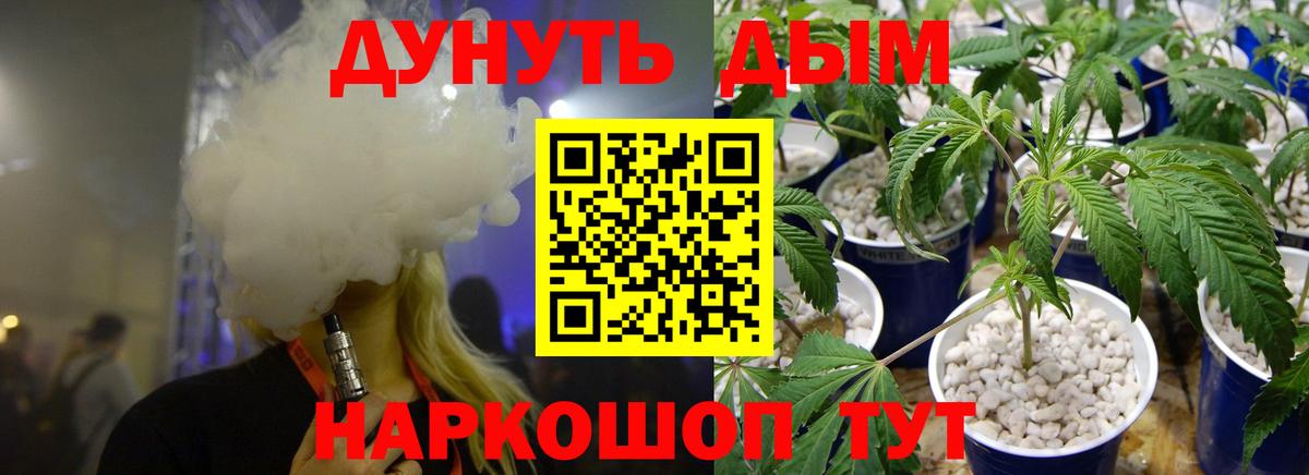 Конопля индика Шали